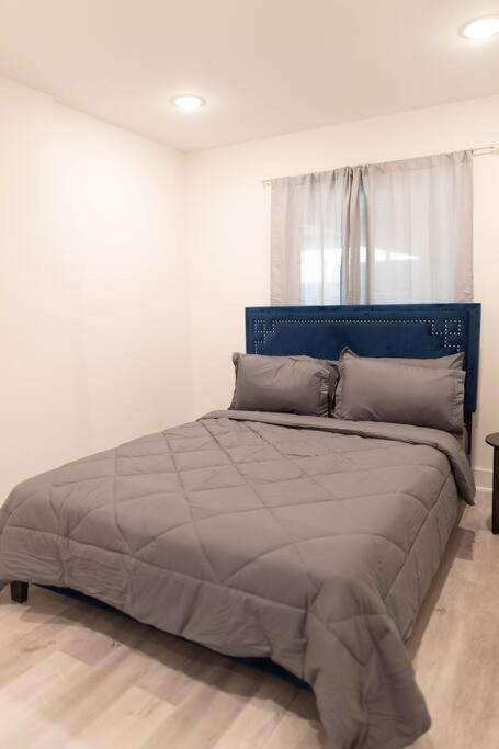 Platinum Palace 1Br 1Ba - Central Dallas Stay Buitenkant foto